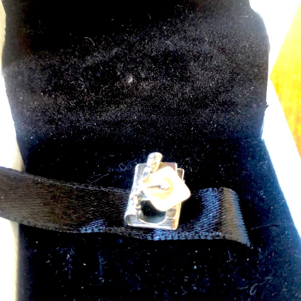 Pandora Books/Graduation Charm